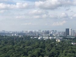 Queens Peak (D3), Condominium #502918151